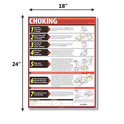 ComplyRight Lifesaving Choking Poster in English, 18" x 24", Safety Signs for Workplace - color: Lifesaving Choking Poster
