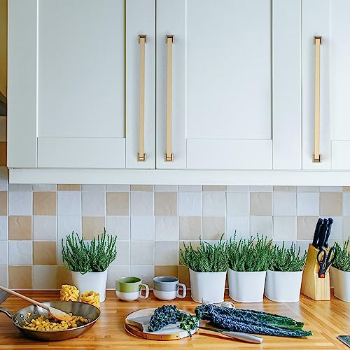 Asidrama 10 Pack 10 inch Brushed Brass Kitchen Cabinet Handles | Heavy-Duty Solid Zinc, 2 Screw Sizes, 10" Hole Center(256mm), Cupboards, Drawers, Dressers, Furniture, Hardware - color: Brushed Brass, size: 10" Hole Center(256mm)