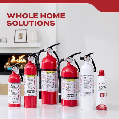 Kidde Basic 110 Fire Extinguisher for Home, 1-A:10-B:C, FA110G, 1 Pack - size: 1 Pack