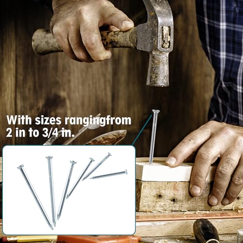 Nail for Hanging Pictures Assortment Kit - 650Pcs Small Nails, Finishing Nails, Hanging Nails, Picture Nails, Wall Nails for Hanging, Pin Nails - size: 650Pcs Galvanized Nails