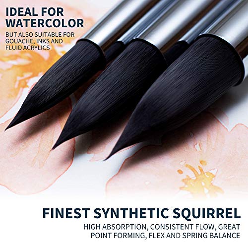 ARTEGRIA Watercolor Brush Set, 9 Soft Synthetic Squirrel Brushes - color: Black - 9pcs