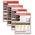 ComplyRight Lifesaving Poster Set Including Fire Extinguishers, 18" x 24", Bloodborne Pathogens, CPR, & Choking, Safety Signs for Workplace - color: Lifesaving Poster Set