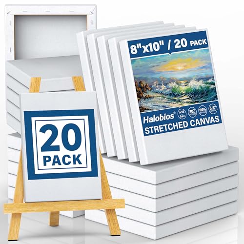 Halobios Blank Canvases - 8x10in Stretched Canvases, 20 Pack, 5/8 Inch Profile, 100% Cotton Artist Framed Canvas for Acrylics, Oils & Other Painting Media - size: 20 Pack - 8×10IN