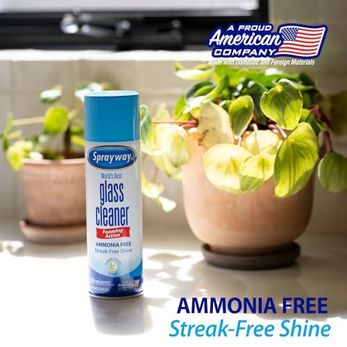Sprayway Glass Cleaner Foaming Aerosol Spray, 19oz, Pack of 2 | Ammonia-Free, Streakless, Fast-Acting | Cleans & Polishes Glass Surfaces | Fresh Scent, Removes Fingerprints, Dust, Dirt, Smoke Film