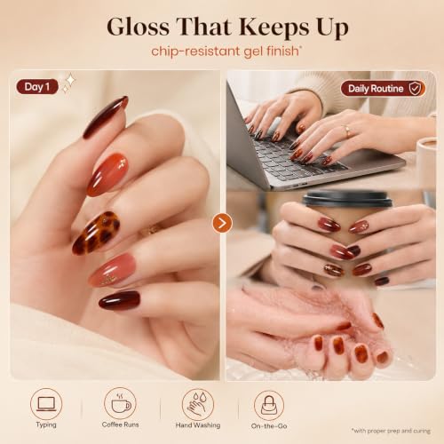 Beetles Jelly Tortoise Fall Gel Nail Polish Set 6 Transparent Fall Colors - color: D - Brown-06