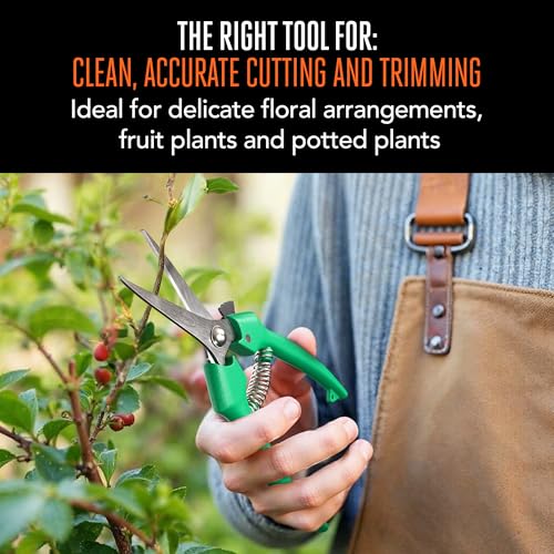 Scotts Straight Tip Floral Shears - Ultra Sharp Lightweight Gardening Scissors - Hand Pruner Pruning Shear for Flowers, Herbs, Roses and Indoor Plants - style: Floral Shears