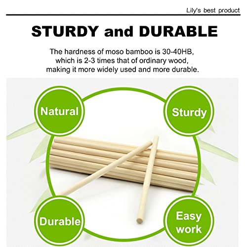 HOPELF 10PCS Dowel Rods Wood Sticks Wooden Dowel Rods - 1/2 x 48 Inch Bamboo Sticks - for Crafts，Hardwood Dowel Rod Assortment，Wooden Rod Sticks Doweling Rods，DIYers. - size: 1/2" x 48"