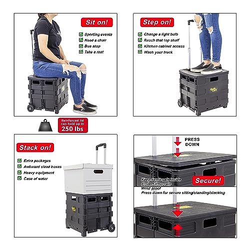 dbest Products Quik Cart Sport Collapsible Rolling Crate on Wheels - Black - color: Black, style: Sport