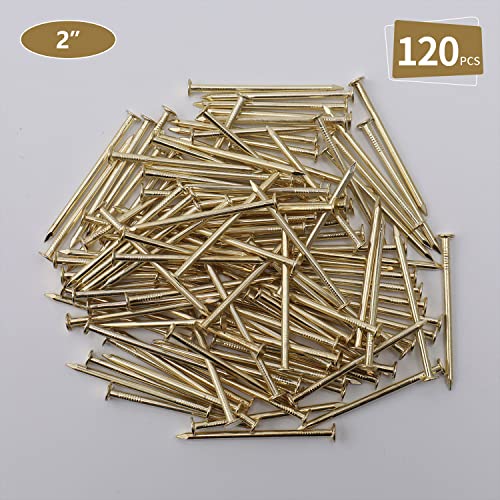JEGONFRI 120PCS 2" x 13Ga Brass Plated Nails for Hanging Pictures &Woodwork - color: Gold, size: 2 In , 120 Pcs