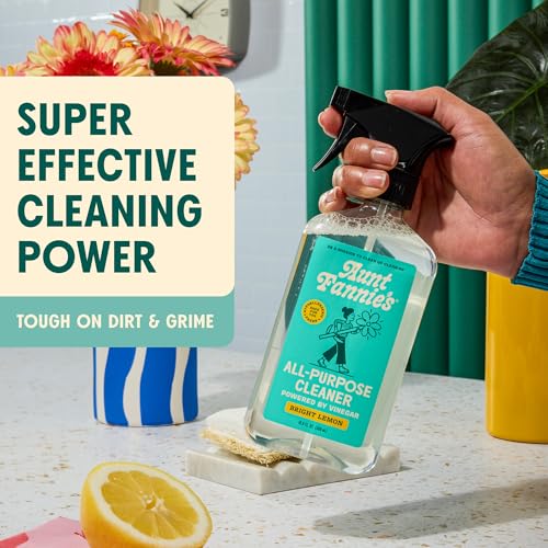Aunt Fannie's All Purpose Cleaner Bundle, Lemon, Spray + Refill, 2 Pieces | Cuts Grease & Grime, No Harsh Residue, Safe for Kitchens Bathrooms Windows Counters & Sealed Areas, Kid and Pet Safe - size: 80.9 Fl Oz (Pack of 2)
