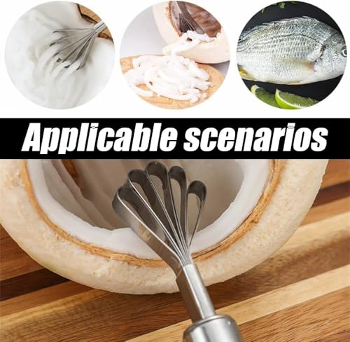 3Pcs Stainless Steel Coconut Meat Scraper, Fish Scaler Remover for Kitchen, Melon Scraper Filipino, Multi Purpose Melon Grater
