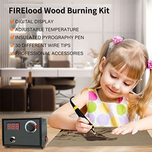 FIRElood Wood Burning Tool,Wood Burning kit Pen 25~750℃,Professional Wood Burning kit,with Digital Thermometer Temperature Adjustable Temperature,1 Wood Burning pens, 30 Wood Burning Pen Tips - color: LH40-1 NEW