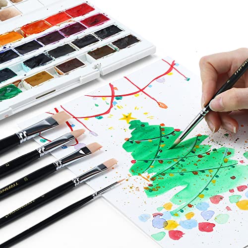 Transon Paint Brush Set 6pcs Art Painting Flexible Bristle for Acrylic Watercolor Gouache Oil Leather Canvas and Face Painting - size: size 2