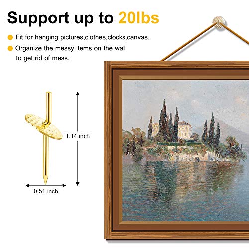 60pcs Picture Hangers, 20lbs Picture Hanging Hooks, Iron Alloy Nail Hooks, Professional Plaster Picture Hanging Kit on Wooden/Drywall Hanging Hardware for Clock,Mirror,Jewelry Golden - size: 20LBS