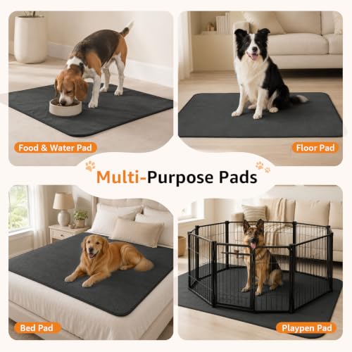 LOOBANI Washable Pee Pads for Dogs, 2 Pack Non-Slip and Leak-Proof,48"x48" - size: 48"*48"(Pack of 2) Gray
