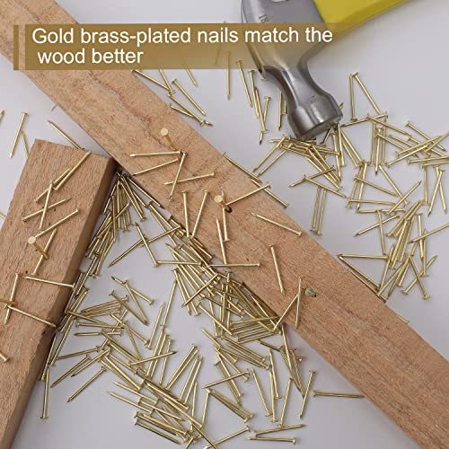 JEGONFRI 550PCS 1" x 16Ga Brass Plated Finishing Nails - color: Gold, size: 1 In , 550 Pcs