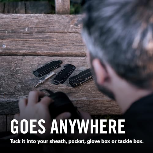 LEATHERMAN Bit Kit Number 1, Double-Ended Screwdriver Bits, Black - color: Black, size: #1