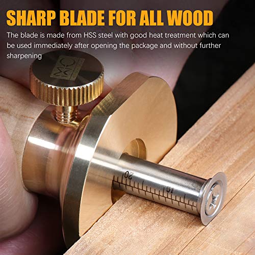 Wheel Marking Gauge Kit with 2 Extra Cutter Wheels, Anti Roll Brass Head with Hornbeam Wood Holder, Metric and Imperial Micro Adjuster Ruler, Woodworking Tools Scriber for Woodwork