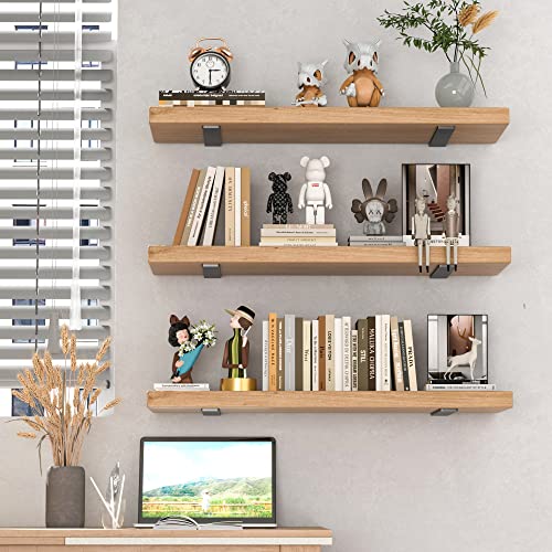 HOZE Heavy Duty Metal Shelf Brackets 12-Inch, Set of 6, Modern Black Matte Finish, 1/5" Thick Steel, Easy-to-Install, Strong Support for Shelves, Versatile & Stylish (12 Inch - 6 Pack) - size: 12 Inch, style: 6 Pack