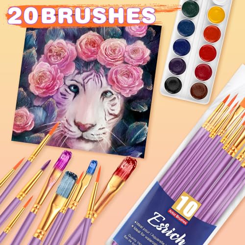 ESRICH 20PCS Paint Brushes, Paint Brush for Acrylic Painting - color: Purple, size: 20