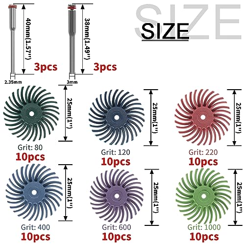 66Pcs 1In Radial Bristle Disc Kit with 3mm Shank for Rotary Tools