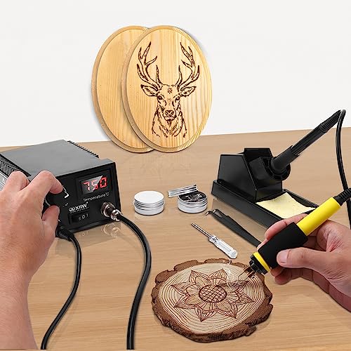 2 IN 1 Wood Burning Kit 100W with 2 Wood Burning Pens & 165 Pcs Pyrography - color: 165 PCS 2-IN-1 Wood Burning Tools