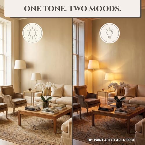 Metallic Wall Paint 67.62 fl oz - Champagne Gold - Stunning Metallic Shine for Stylish Interiors, Easy to Apply, Water-Based, Perfect for Creative Wall Designs & DIY Projects - color: Champagne Gold