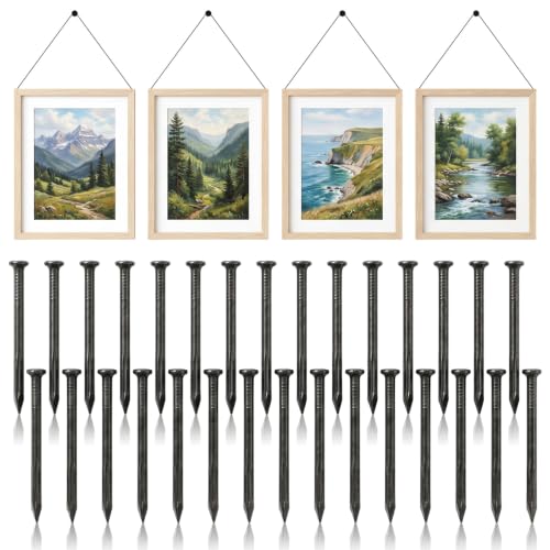 2 Inch Black Iron Nails, 30 PCS Antique Head Nail Decorative Nail for Hanging Pictures, Wall Nails Black Picture Hangers for Bedroom Bathroom Office Hanging Handmade Project Decoration Wall Decor
