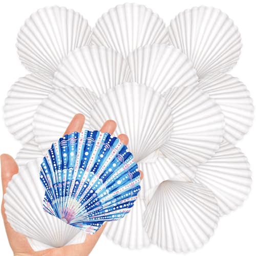 20Pcs 3-4 Inch Scallop Shells for Crafts - size: 3-4 Inch 20Pcs