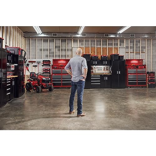 CRAFTSMAN Plastic Tool Box With Drawers, Organizer and Storage (CMST17804)