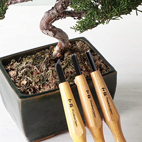 Wazakura 3PCS Bonsai Chisel Kit with Round Gouge, Single Bevel Skewed and V-Parting Tool, Hand Carving Tool Set for Jin Shari Making, Woodworking Knife Pack (3PCS Bonsai Chisel Kit)