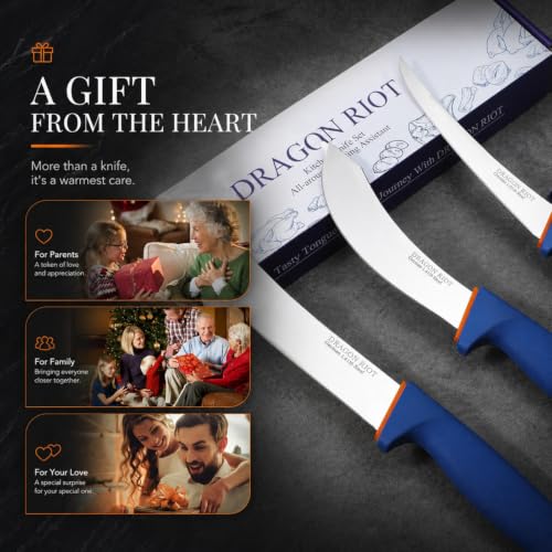 DRAGON RIOT 3-Piece Boning Butcher Knife Set 8inch, Stainless Steel - color: 3-Pcs
