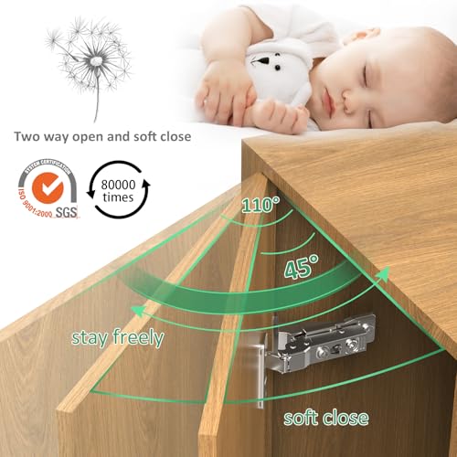 Face Frame Inset Cabinet Hinge(10 Pack), 110° Face Frame Insert Cabinet,Cabinet Door Hinge,Clip-on Base,Soft Close,Silent Hinge,3D Adjustable Hinge for Kitchen Cabinets,Bookcases,Wardrobes