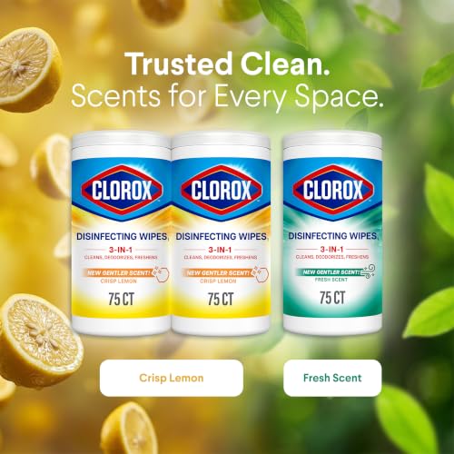 Clorox Disinfecting Wipes Back to School Variety Pack, 75 Count Each, Pack of 3 (Package May Vary)