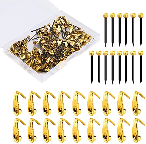 Luter 100pcs Picture Hanging Kit 10lbs Stainless Steel Picture Hanging Hook