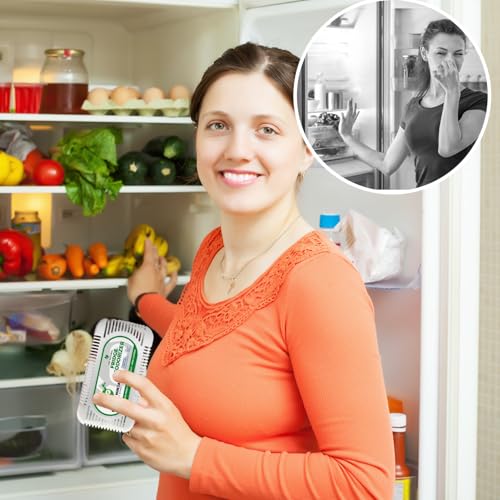 Fridge Ninja Fridge Deodorizer, Activated Charcoal Odor Absorber, 2 Pack - size: 1 Count (Pack of 2)