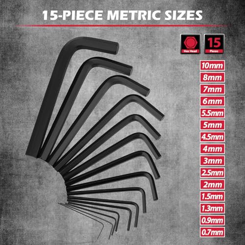 41-Piece Hex Key Allen Wrench Set, L Shape Hex and Torx Key Wrenches with Torque Handle | SAE(0.028"-3/8") | Metric(0.7mm-10mm) | Torx(T9-T50) in 3-Layer Storage Case, Heat Treated Cr-V Steel - style: 41-Piece Set (New Version)