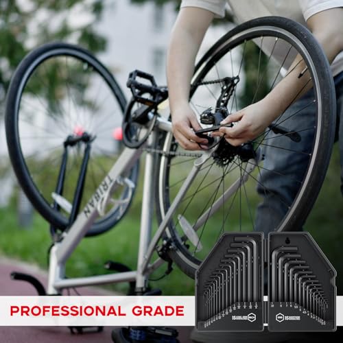 Reniteco 30 PCS Hex Head Key Allen Wrench Tool Set Organizer Kit Alloy Steel L Shape Black Metric (0.7-10 mm) SAE (0.028"-3/8") Standard In Storage Case Long Short Arm