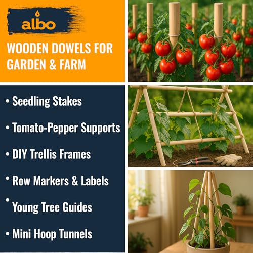 ALBO 1/2" x 6" Wooden Dowel Rods, 25 PCS Birch Natural Thin Hardwood Dowels - size: 1/2" x 6" 25 Pcs