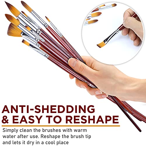 DUGATO Artist Paint Brush Set, 13-Piece Long Handle Oil Paint Brushes