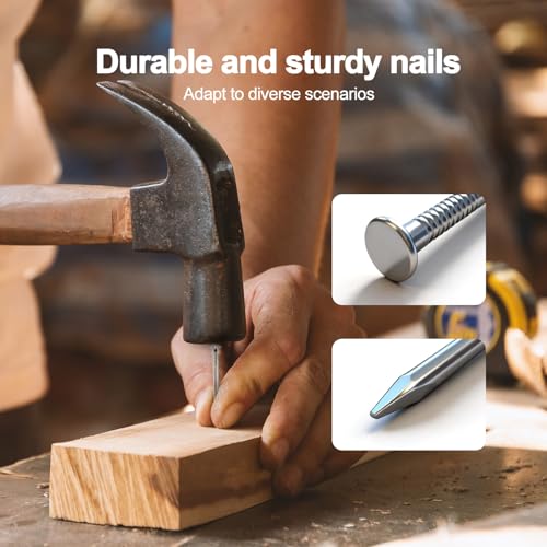 600pcs Galvanized Stell Nails, Nails Assortment Kit