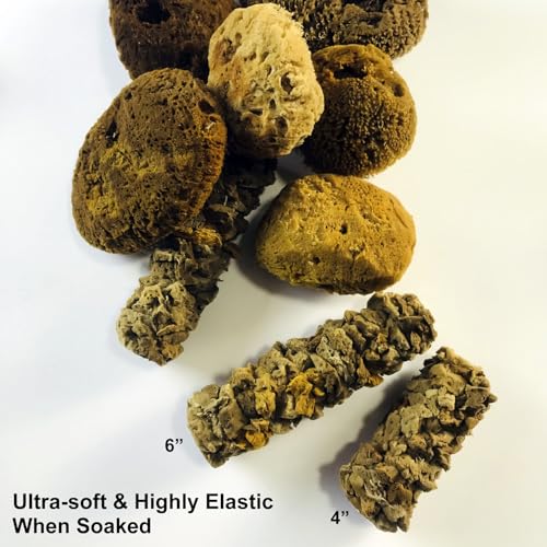 Natural Sea Sponge for Painting, 6" Texture Paint Decorative Roller - style: XG-3880