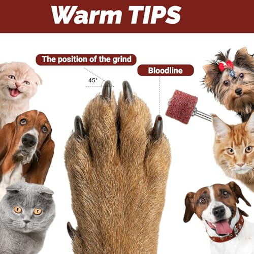 62 Pcs Pet Nail Grinder Replacement Kit With Grit Sanding Bands Nail Sanding Bands Dog Nail Grinder Replacement Heads Black Grinding Drums Pet Smoother Claw Care Dog Claw Grooming Supplies (80#/120#)