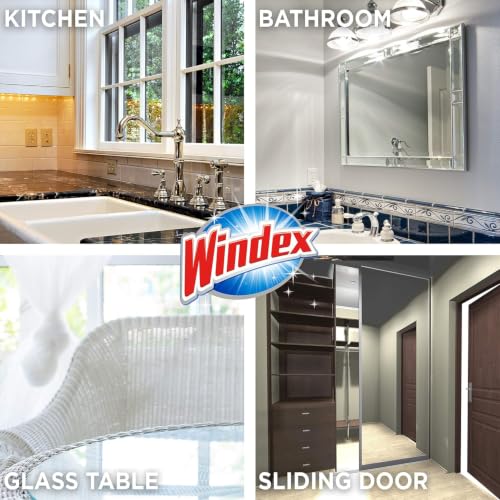 Windex Wipes Glass Cleaning, Pre-Moistened Glass and Surface Wipes to Clean Home Surfaces, Household Essentials, Original Scent, 38 Count (Pack of 2) - size: 38 Count (Pack of 2)
