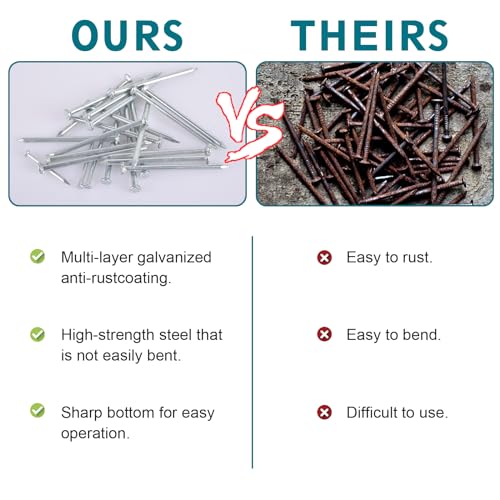 Nail for Hanging Pictures Assortment Kit - 650Pcs Small Nails, Finishing Nails, Hanging Nails, Picture Nails, Wall Nails for Hanging, Pin Nails - size: 650Pcs Galvanized Nails