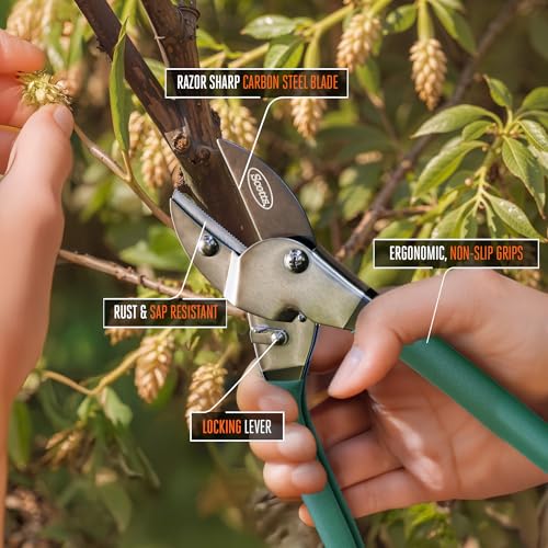 Scotts 8 in. Anvil Pruning Shears – 1/2 in. Cutting Capacity, Heavy-Duty Garden Pruner for Dry Stems and Dead Wood, Sap Resistant – Comfort Grip with Sharp Carbon Steel Blade for Yard and Garden Use - style: Anvil Pruner