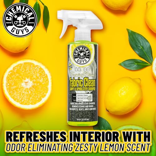 Chemical Guys, Citrus Fabric & Carpet Cleaner Spray with Brush Kit, 16 oz - size: 16 Fl Oz + Brush