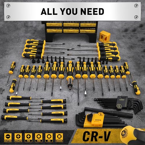HORUSDY 140-Piece Magnetic Screwdriver Set with Plastic Racking, Includes SAE & Metric Hex Keys, Precision Screwdriver and Magnetizer Demagnetizer DIY Tools for Men Tools Gift - style: 140-Piece Magnetic Screwdriver Set with Plastic Racking