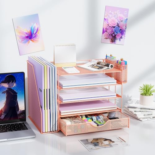 gianotter 5-Tier Desk Organizer with Drawers and File Holders - color: Rose Gold, size: 5T