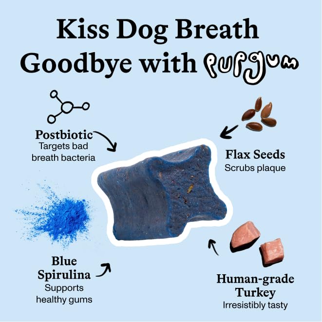Spot & Tango PupGum Dog Dental Chews for Fresh Breath & Clean Teeth – Clinically Proven Ingredients – Human-Grade, Vet-Developed Daily Dental Treats for Dogs 16-40lbs – 14 Chews – Made in USA
